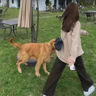 断魂小丑3